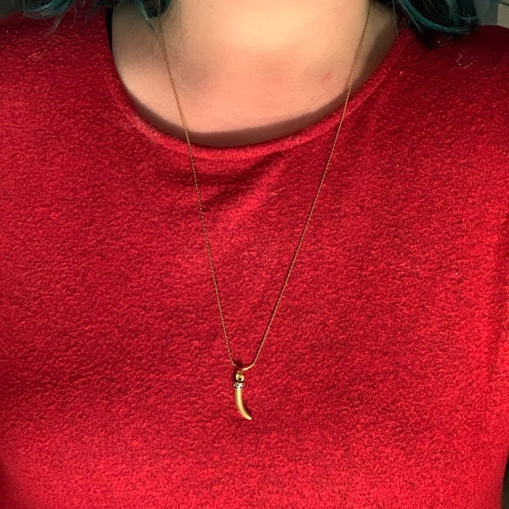 Alex and Ani extendable Horn necklace